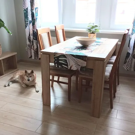 Lägenhet Shiba *
